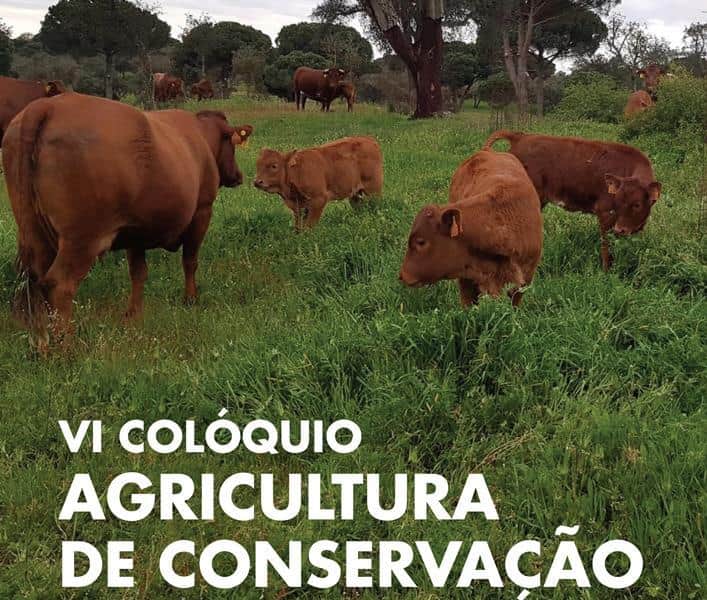 agricultura